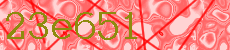 23e651